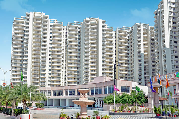 SS coarlwood - img1-golden bricks