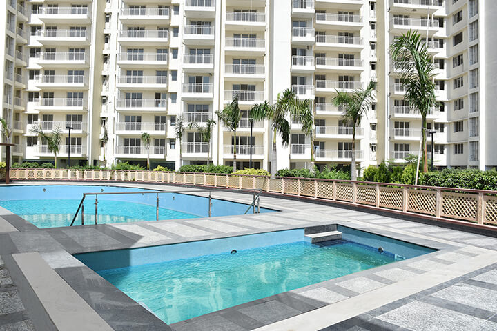 SS coarlwood - img2 - golden bricks