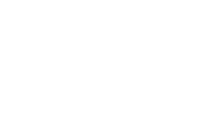 ireo logo